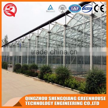 Vegetable product Venlo glass green house hydroponic system