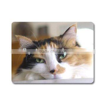 Dry Cat Food Kitten Chicken & Whole Brown Rice Formula photo-2