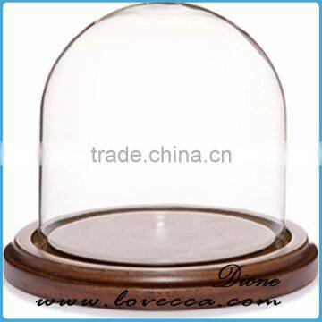 Mouth Blown Modern Decoration Glass Globe Customized Flower Clear Glass Display Dome photo-3