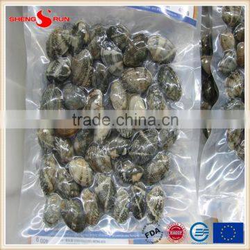 Frozen Boiled Baby Clam photo-2