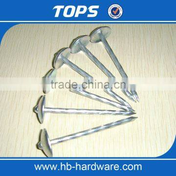 Low Price Galvanized Umbrella Roofing Nails photo-2