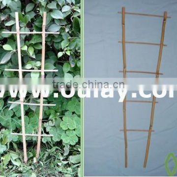 Bamboo trellis for plant supporting