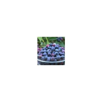 Sweetberry Anthocyanin