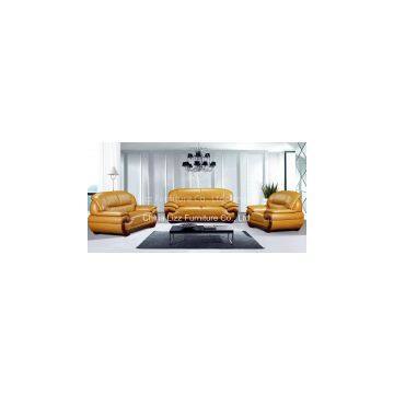 Australian Sofa Combination Leather Sofa