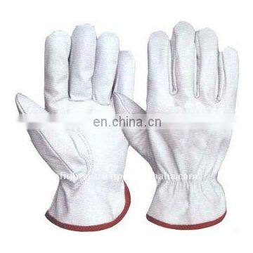 Driver Gloves