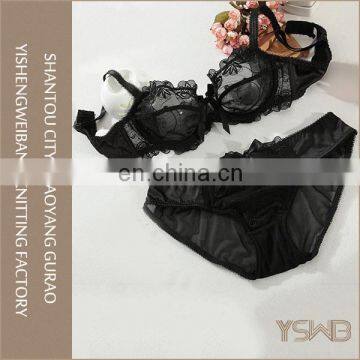 Woman Fashion Underwear Set Transparent Lace Bra and Brief Sets photo-3