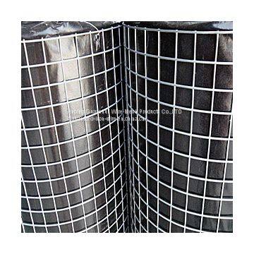 Welded Wire Mesh photo-5