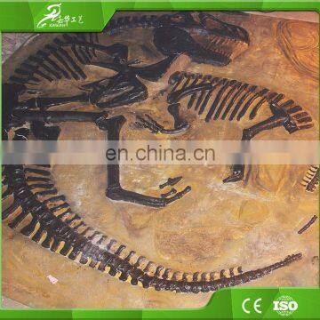 KAWAH Museum Artificial Educational Dinosaur Skeletons For Kids photo-3
