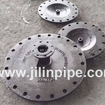 Blind flange with flange branch