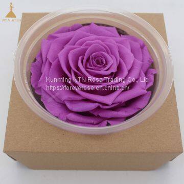 Big Size Preserved Flower Rose for Decor Supplies photo-4