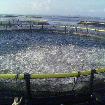 Floating Fish Cage Floating Cage Fish Farming Polyethylene