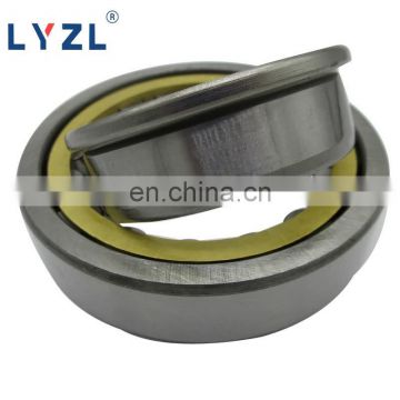 LYZL China Brand High quality Cylindrical Roller Bearing NJ413 NJ414 NJ415 NJ416 NJ417 NJ418 NJ420