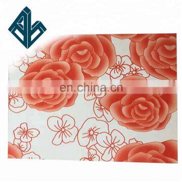 China Supplier 0.38mm Thickness 1200*2400 Ra7035 Galvanized Steel Coils/ppgi in Stock photo-3