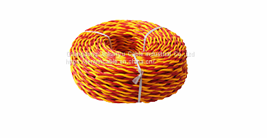 CU/PVC/PVC RVS Flexible Twisted Wire