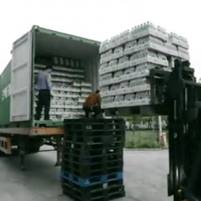 Aloe Vera Drink Bebida de Aloe With Normal/big Mouth Bottle, Glass Bottle and Factory Owned Aloe Plant Base photo-5