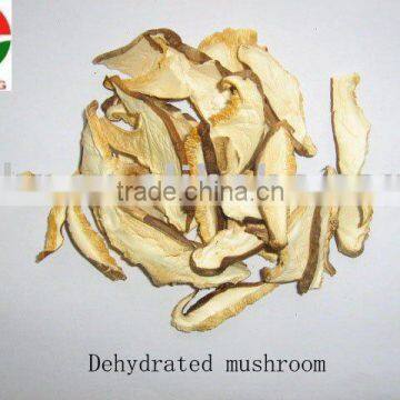 dried shiitake mushroom