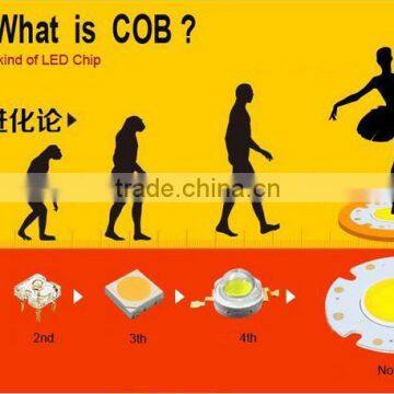 China Suppliers Wholesale 2016 Best Selling Led Lighting Lamp 30w Cob Led Downlight photo-4