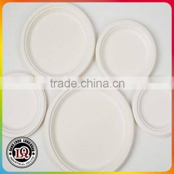 Wholesale Compostable Bagasse Trays