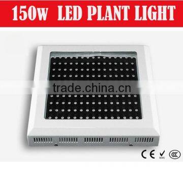 Super plant cultivation hydroponic led grow light