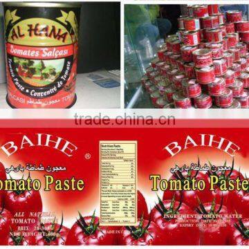 Powerseller!210g*48tins/ctn Fresh tomato paste