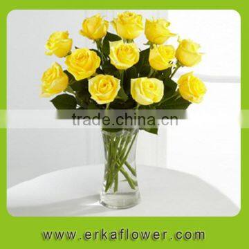 Most popular classical wholesale price rose cut flower