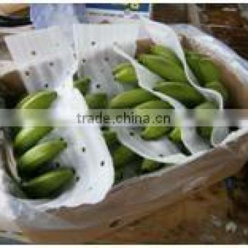 Class A Cavendish Bananas