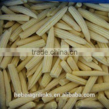 frozen style baby corn whole