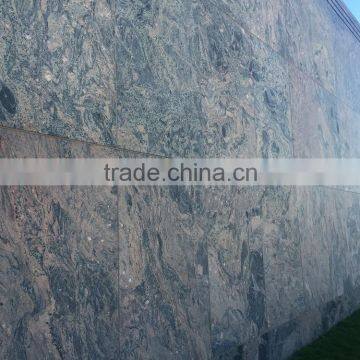 Juparana Columbo Red Granite Wall Panel & Stairs Good Price