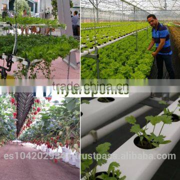 Professional Aquaponics Hydroponics and Aeroponics Systems for Agriculture Farming