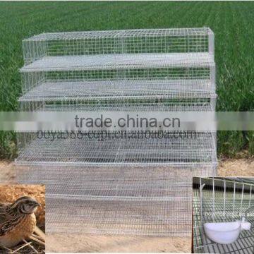 design durable wire mesh quail cages