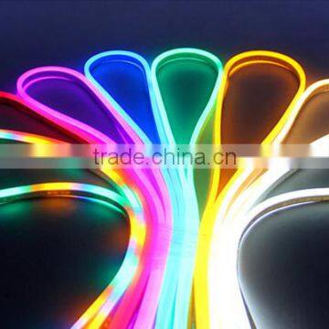 220v/ 12v Outdoor LED Flexible Neon Strip Light for Building Decoration photo-4