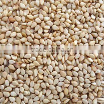 Sesame Seeds, Chia Seeds, Cumin Seeds