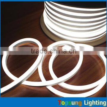 Trade Assurance Professional Top View Led Neon Tube Factory photo-3