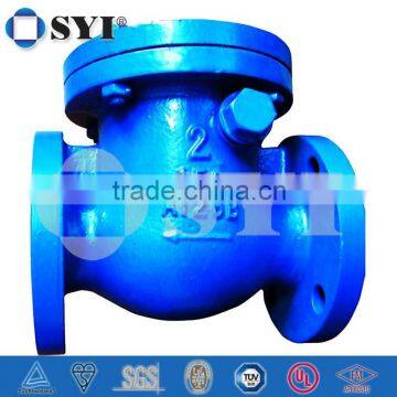 Ductile Iron 03670-1 Check Valve of SYI Group