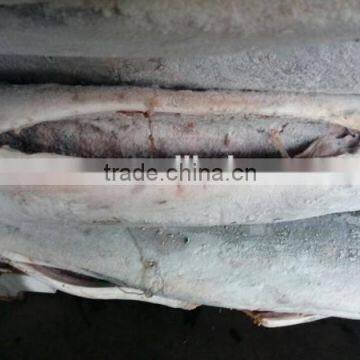 Frozen Stripe Marlin Frozen Fish Red Marlin photo-2