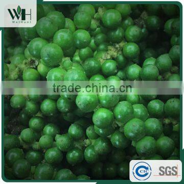 Cambodia Best Grade Black Pepper 550gl/500gl for Black Pepper Extract photo-5