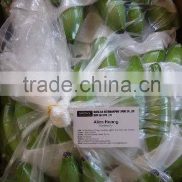 HOANG KIM VIETNAM'S FRESH GREEN BANANA