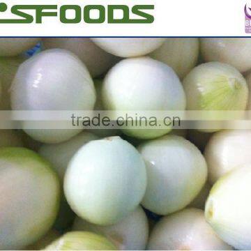 2014 Fresh whole peeled onion