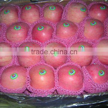 2015 new crop chinese fresh Fuji Apple from Pengjie