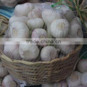 Best Price White Natural Fresh Garlic promotion