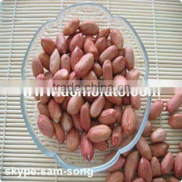 Chinese Shandong peanut Kernel