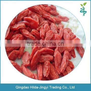 New arrival goji berries qingdao hilda