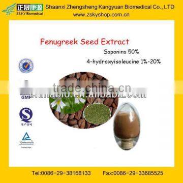 Top Quality Fenugreek Seed Extract From GMP&BV Factory