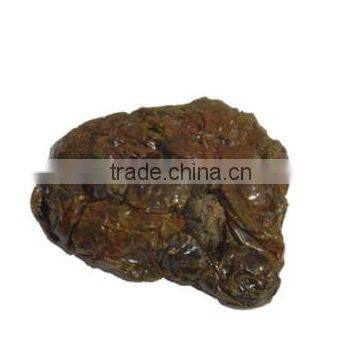 Water Soluble Propolis Extract Powder ( Skype: Liu.diana 79 , Whatsapp: 15029025639) photo-3