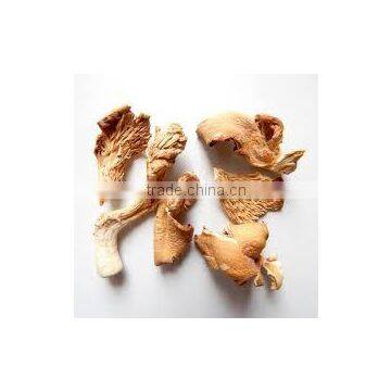 Detan Wholesale Dried Oyster Mushrooms for Customer photo-5