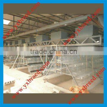Poultry feeder