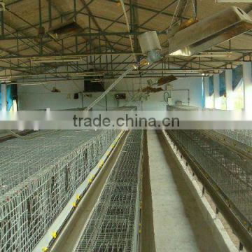 Poultry cages