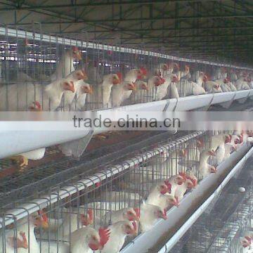 Poultry Cages
