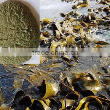 Best Price of Kelp Meal Feed Grade for Animal Feed, Fish Feed