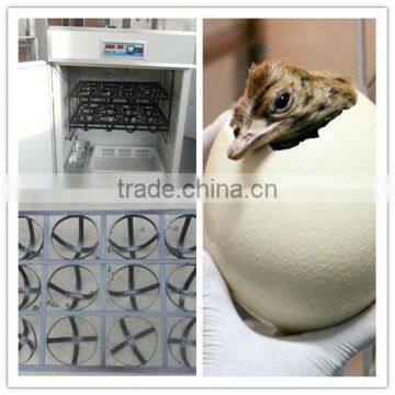 China made automatic ostrich egg incubator WQ-2640